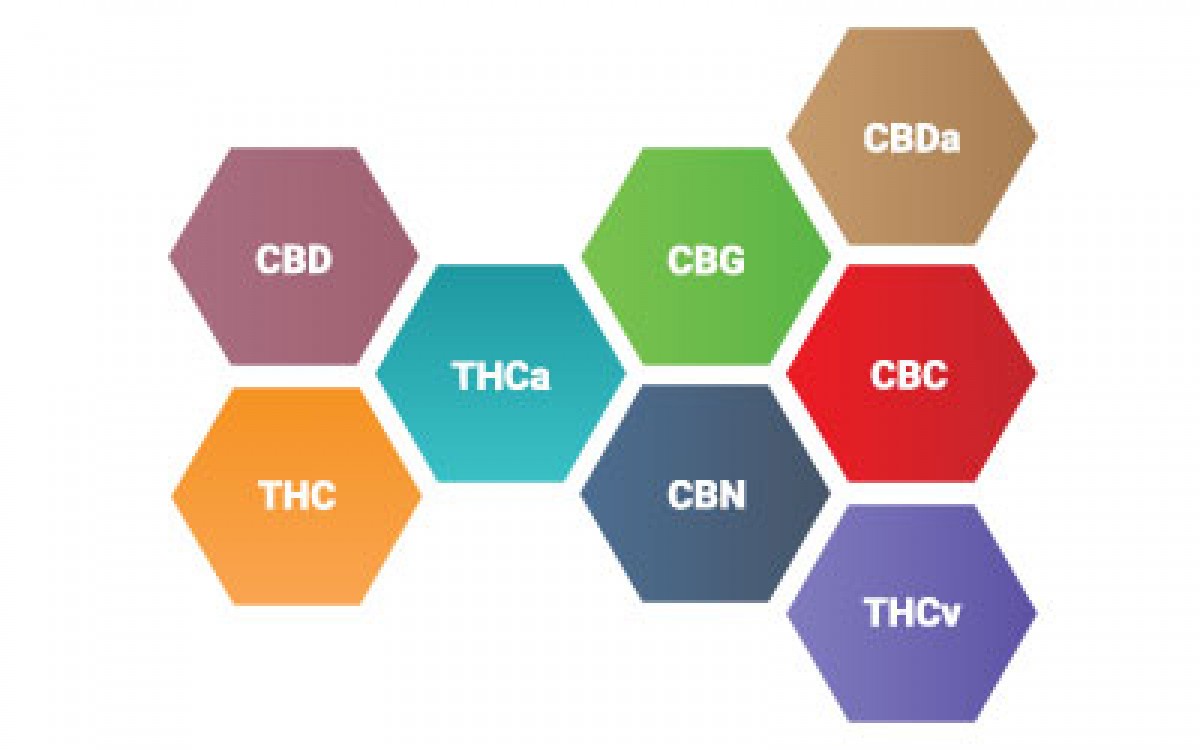 Full Spectrum CBD  vs Isolate CBD 